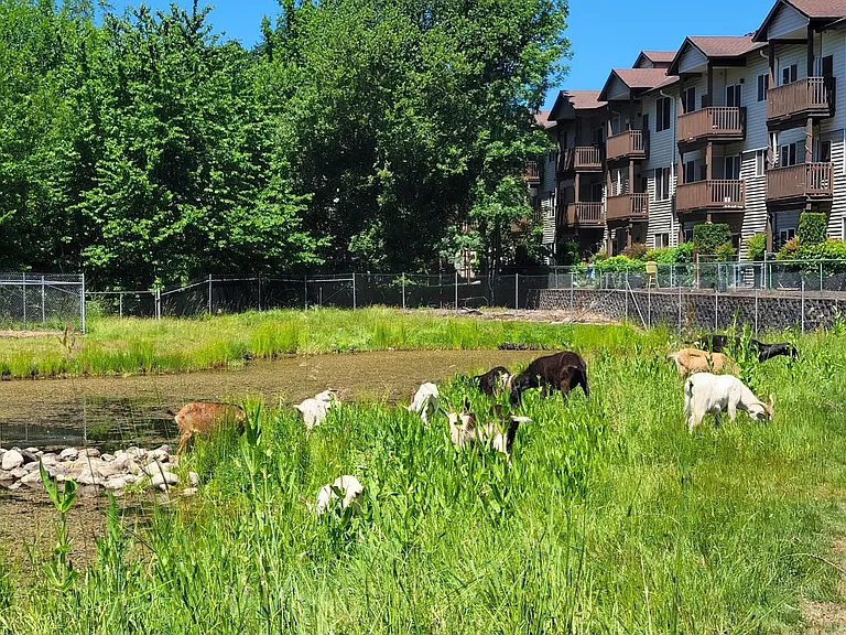 One Lake Place — Photo 23