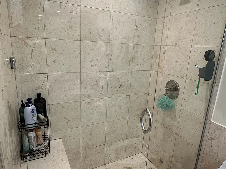 449 N Wells St #3E — Photo 12