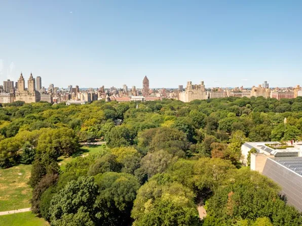 980 Fifth Avenue image 9 of 23