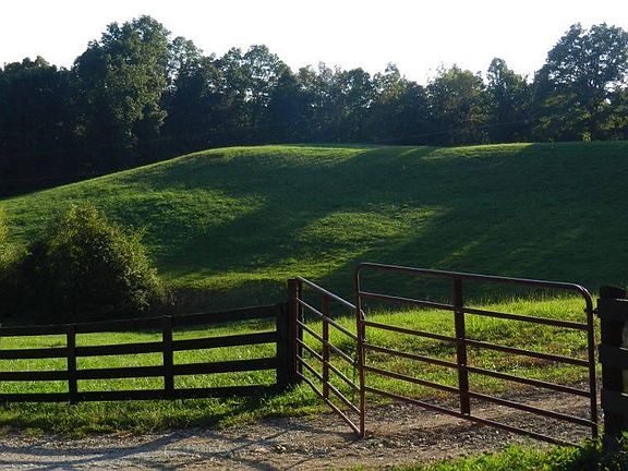 4th image of 350 Hacker Hollow Lower Clover