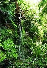 Waterfall Garden