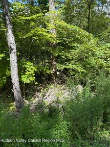 Tbd Oak Ridge Road, Ellenville, NY, 12428