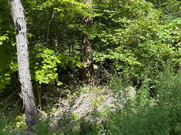 Tbd Oak Ridge Road, Ellenville, NY 12428