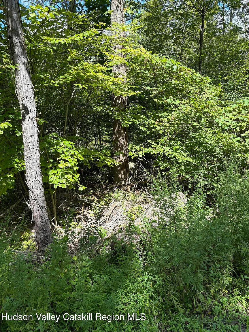 Tbd Oak Ridge Road photo 1