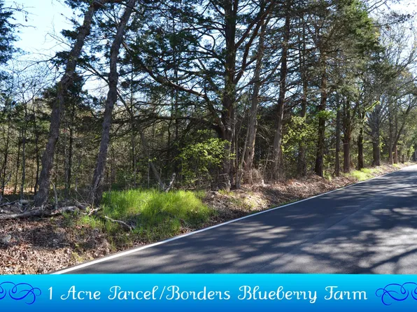 000 Persimmon Hill Lane, Lampe, MO 65681