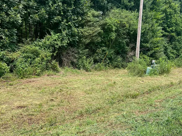 LOT 4 Elmer Moore Rd Lot 4, Siler City, NC 27344