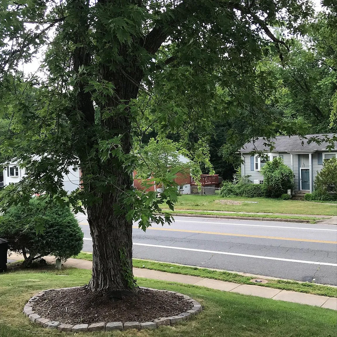 3 bed, 936 sqft, $2,295 — Photo 3