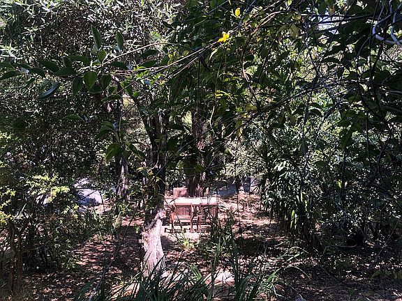 Lower Level Yard/Seating Are