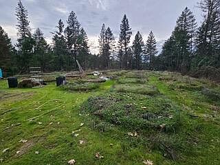 1st image of 651 Shadow Hills Dr