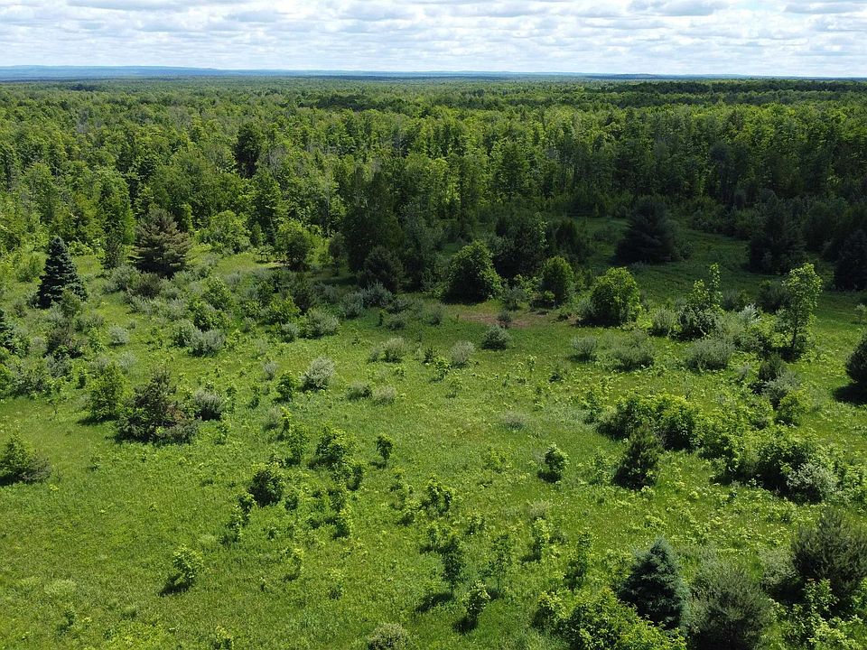 1st image of 23171 Seppanen Road Off End Of Seppanen Rd