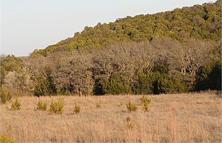 2nd image of 2392 County Road 309