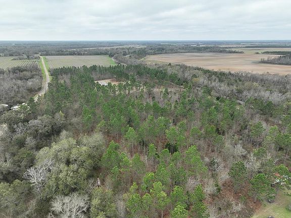 5th image of 6175 Killebrew Rd