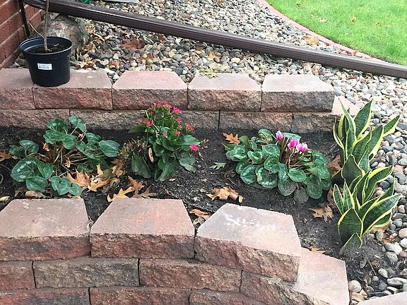 Front door brick update.