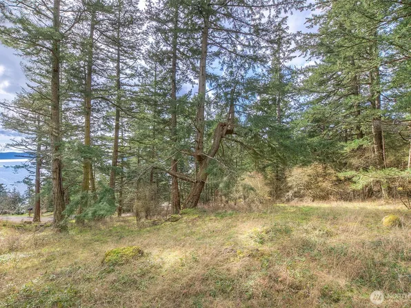 10 Cascade Lot 10 Way, Orcas Island, WA 98245