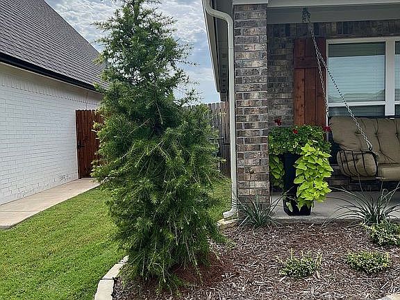 2nd image of 16313 Range Land Dr