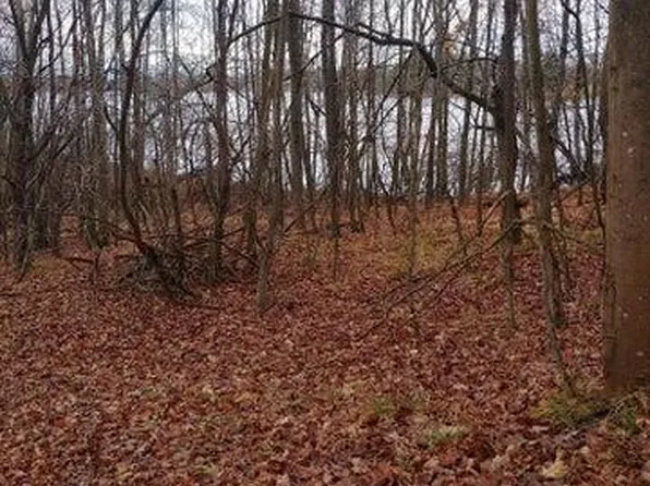 23045 Miramichi Dr, Evart, MI 49631