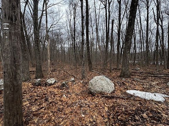 4th image of 5 Gould Rd