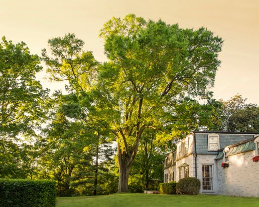 homes for rent in belle meade tn