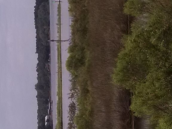 View from back of lot at bayue