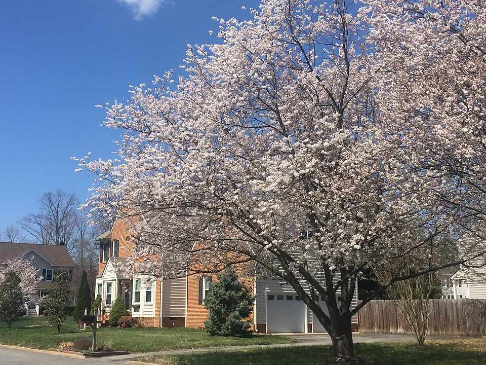2nd image of 10646 Argonne Dr