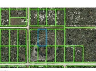 2351 W Reeves Rd, Avon Park, FL 33825