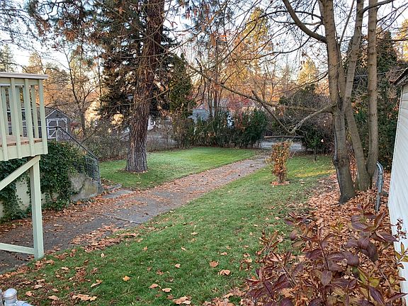 Fenced back yard (pine tree has been removed)/Driveway to garage from alley.