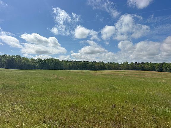 2nd image of 0 Highway 55 Byp