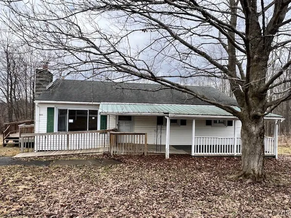 325 Butternut Rd, Richfield Springs, NY 13439