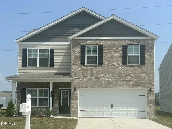 207 Golden Rod Dr, Bluff City, TN 37618