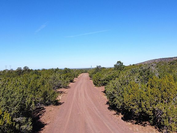 3rd image of 1659 E Forest Service #736
