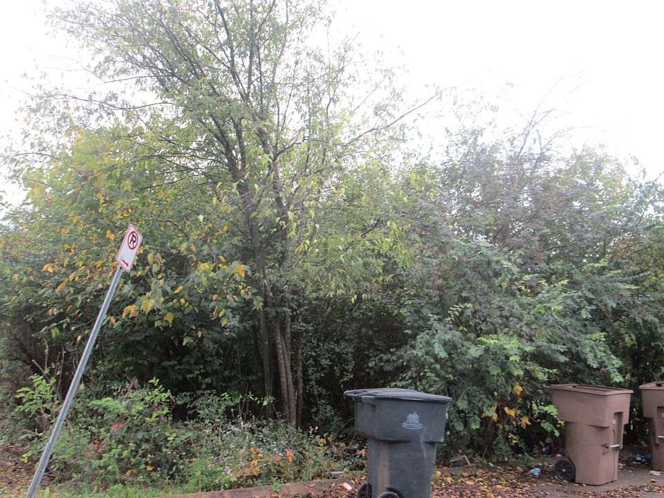 2nd image of 460 Roger Williams Ave