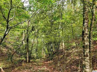 LOT 42 Shell Mountain Rd, Sevierville, TN 37876