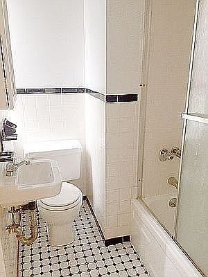 5th image of 203 E 27th St APT 42