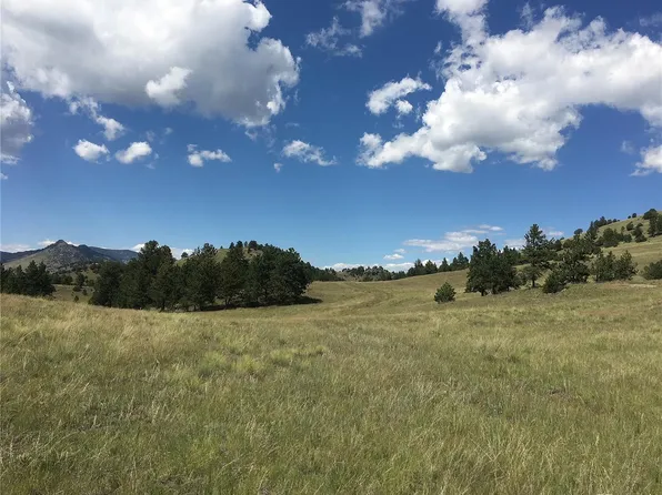 0 Daisy Lane, Guffey, CO 80820