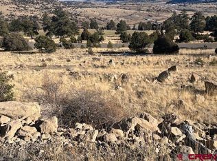 46 Ellingwood Dr, South Fork, CO 81154
