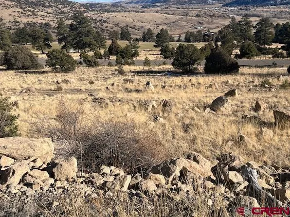 Lot 46 Ellingwood Drive, South Fork, CO 81154