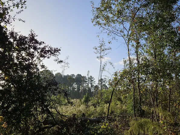 0 Shad Tree Ln, Midway, GA 31320