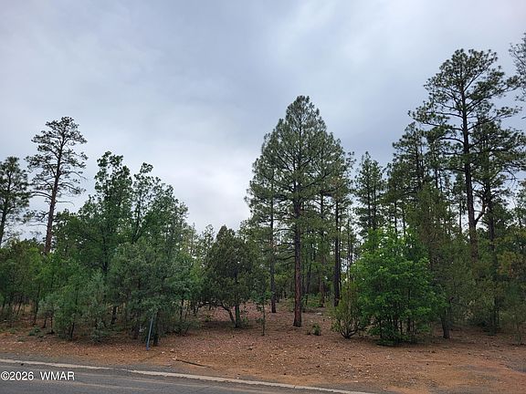 5th image of 2425 S Timber Pine Ln