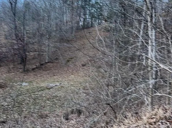 King Mountain Rd, Williamsburg, KY 40769