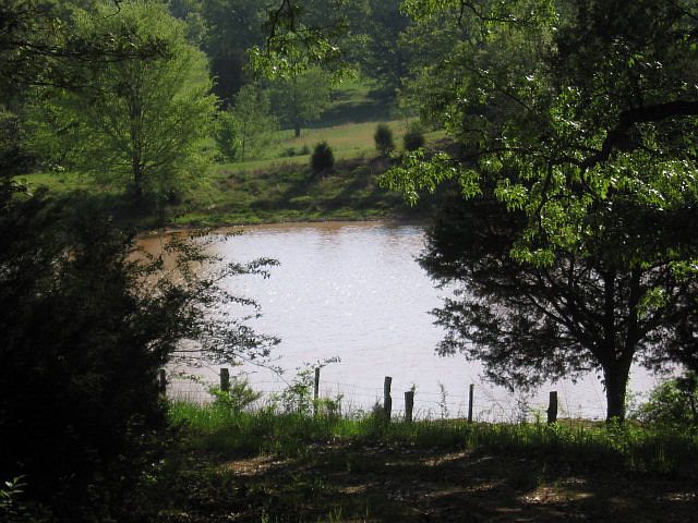 2nd image of 628 Centerpointe Cv