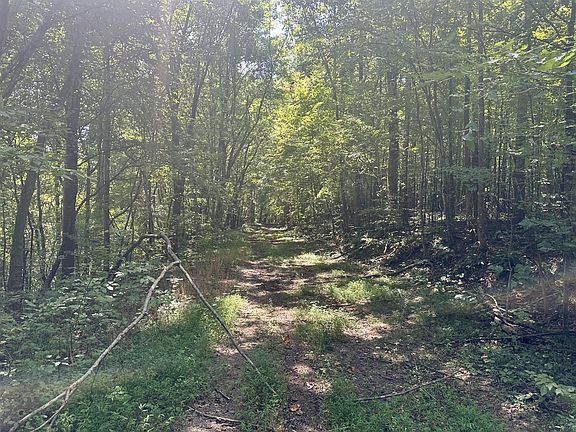 2nd image of 7721 Wayland Springs Rd