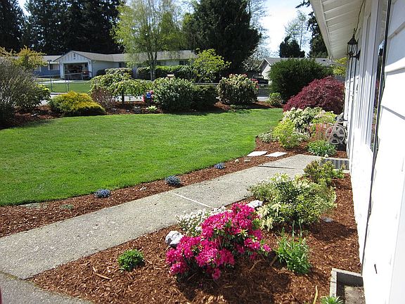 Front Yard Walkway to house