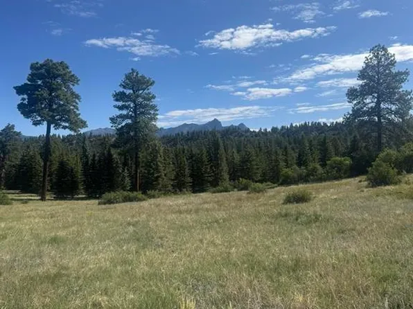 1231 Henry's Lake Drive, Pagosa Springs, CO 81147