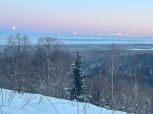 15300 W Willow Fishhook Rd, Willow, AK 99688
