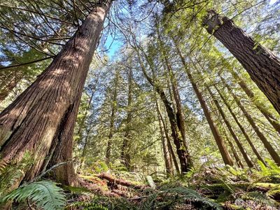 30 Little Strawberry Lane, Bellingham, WA, 98229