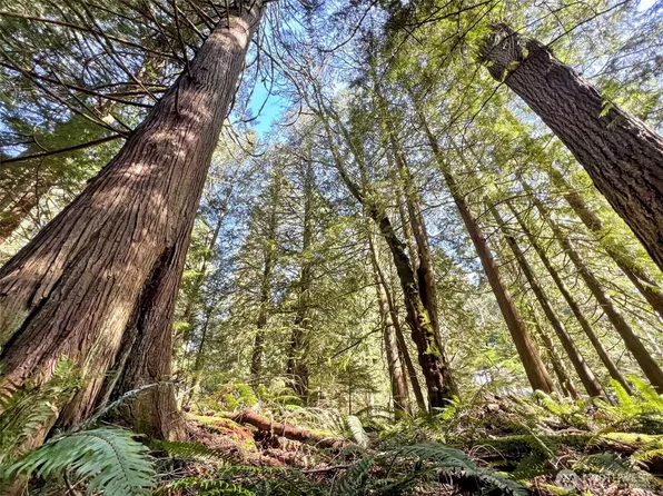 30 Little Strawberry Lane, Bellingham, WA 98229