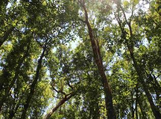 Xx Tram Rd #0, Monticello, FL 32344