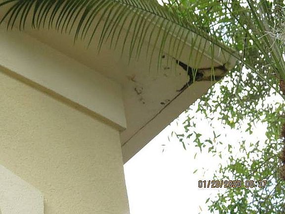 leaky roof has led to mold