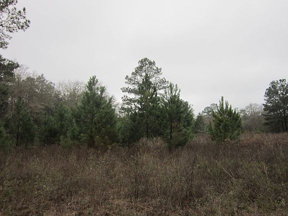 4th image of SW Wonderwood St