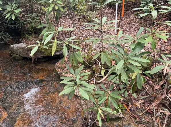 TRACT A Cherrywood Ln, Pisgah Forest, NC 28768